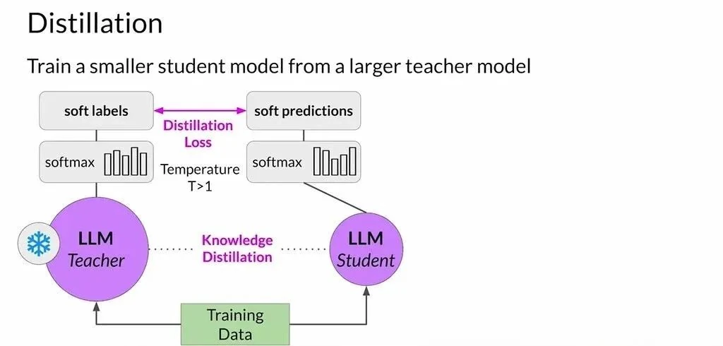 Visualization of probability distribution showing soft labels with varying confidence levels across multiple output options