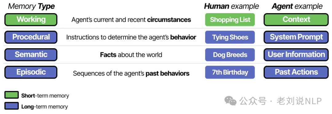 Memory categorization types semantic episodic and working memory