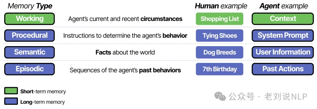Memory categorization types semantic episodic and working memory