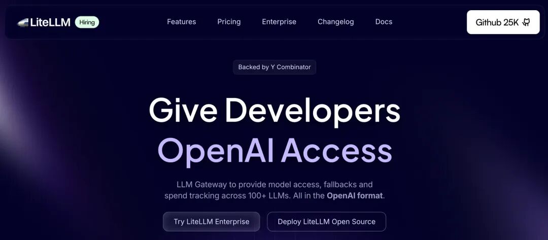 liteLLM universal API translator for 100+ large language models
