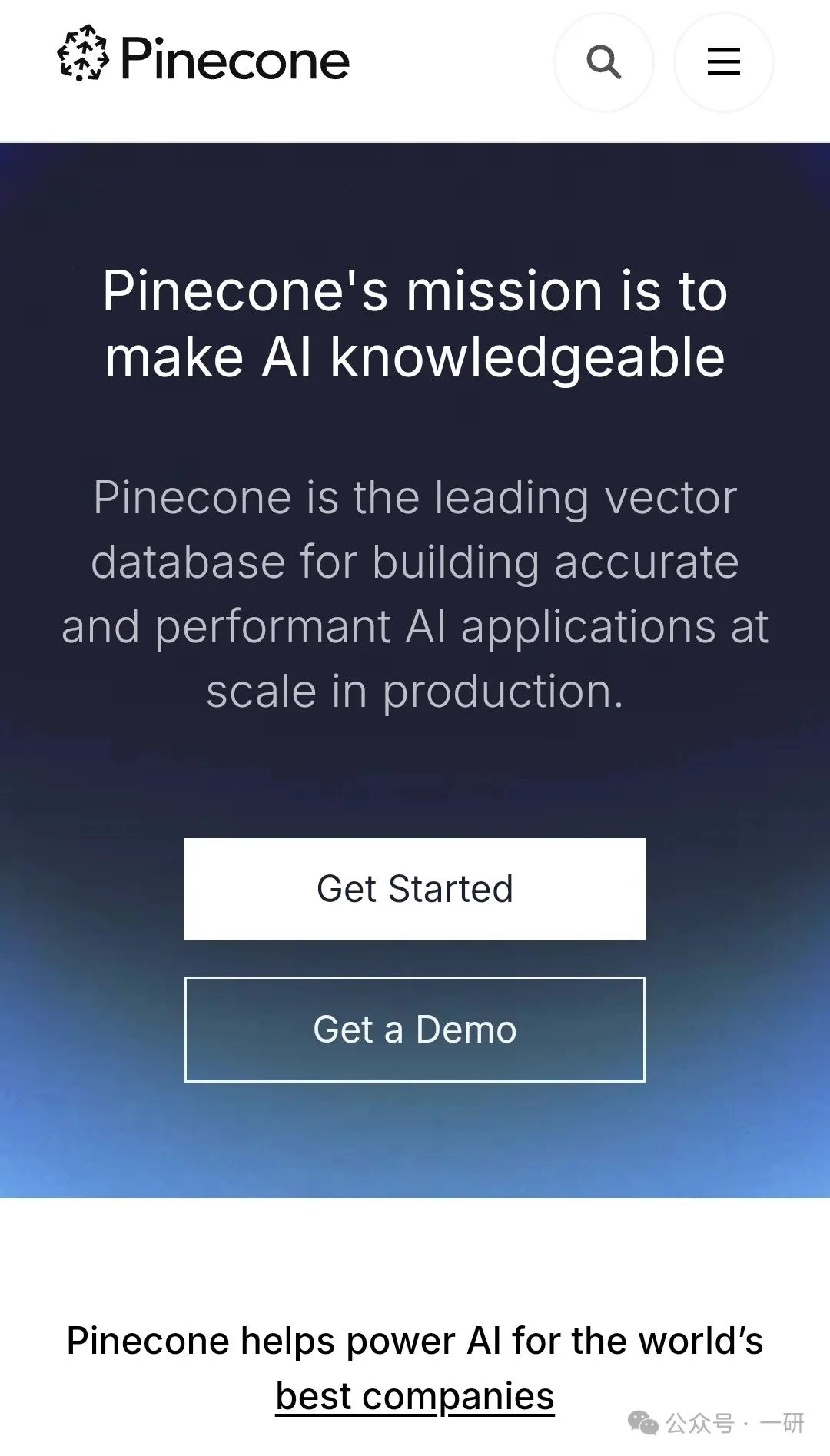 Pinecone fully managed cloud vector database with millisecond latency and enterprise features